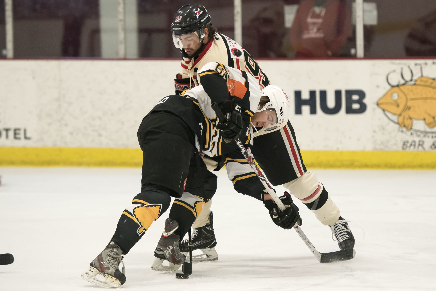 Moose hockey